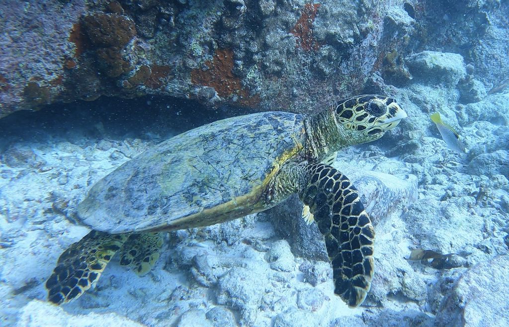 eb1c848e-0666-4b90-b27e-e63effa52d27