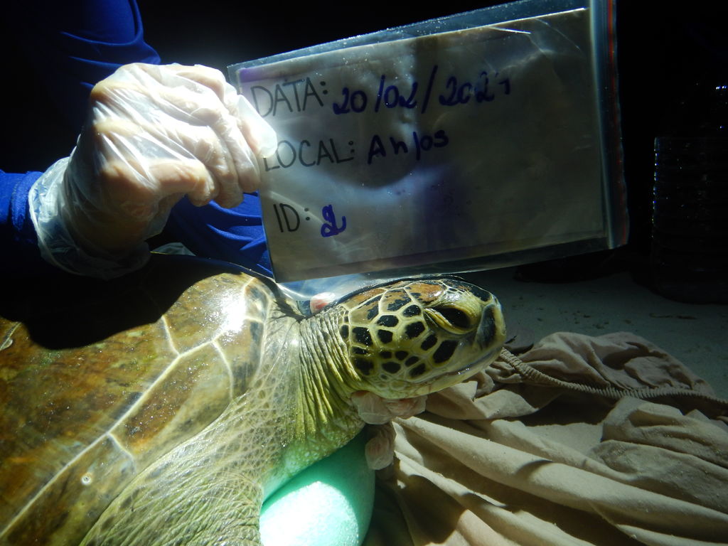 5b469e81-a947-4952-8aa7-5389a201bedf