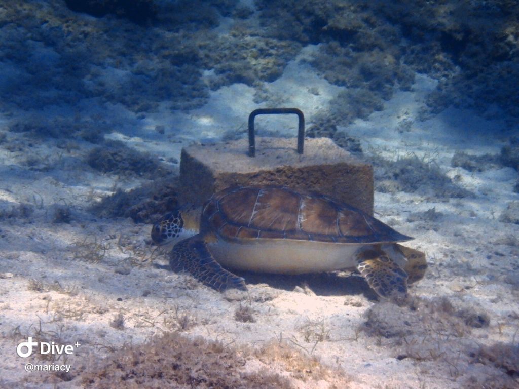 363ca1bc-9392-4b29-993b-3a789d6e6bad