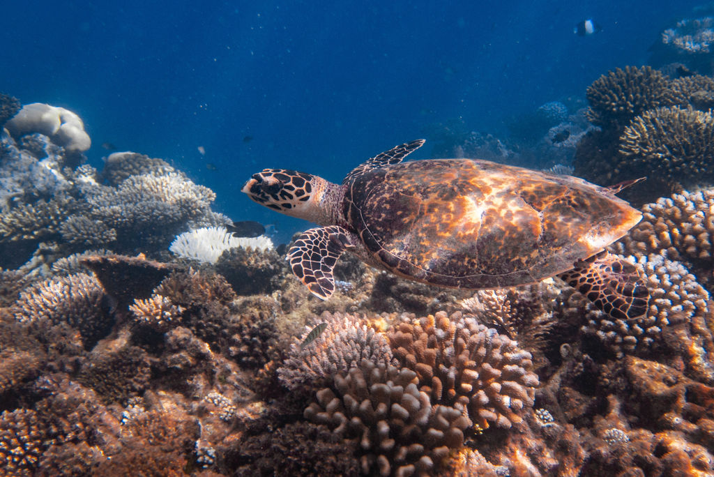 b4a3a5f2-0f1c-4900-a2e4-84628932ac9f