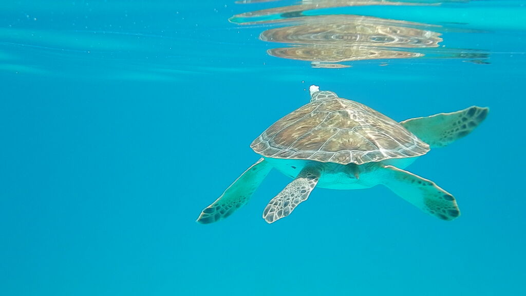 3f548098-e0a2-4202-8d5d-59ef4c4d2839