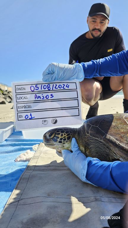 5b469e81-a947-4952-8aa7-5389a201bedf