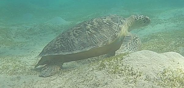 df069e05-eeba-431b-a589-c53bd3c372b6