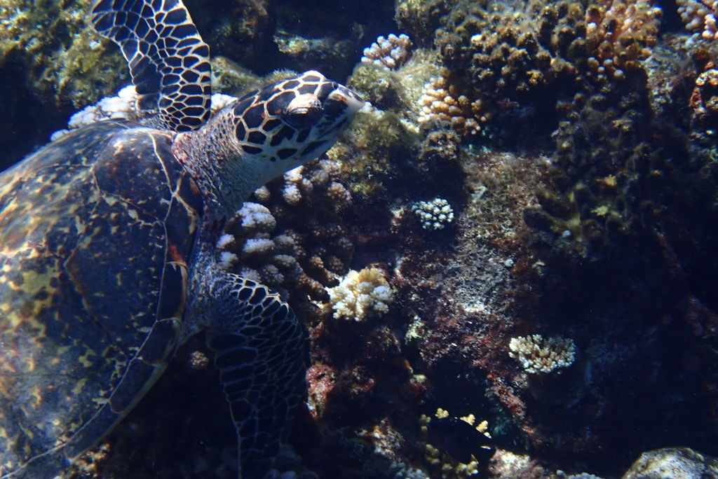 b4a3a5f2-0f1c-4900-a2e4-84628932ac9f