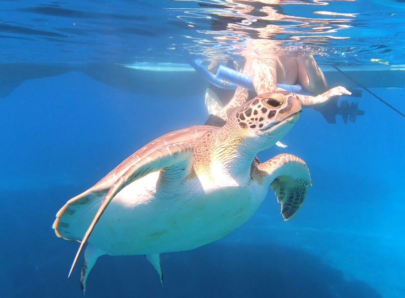 bcb314cf-4a45-445e-8d8a-1284313c1e3d