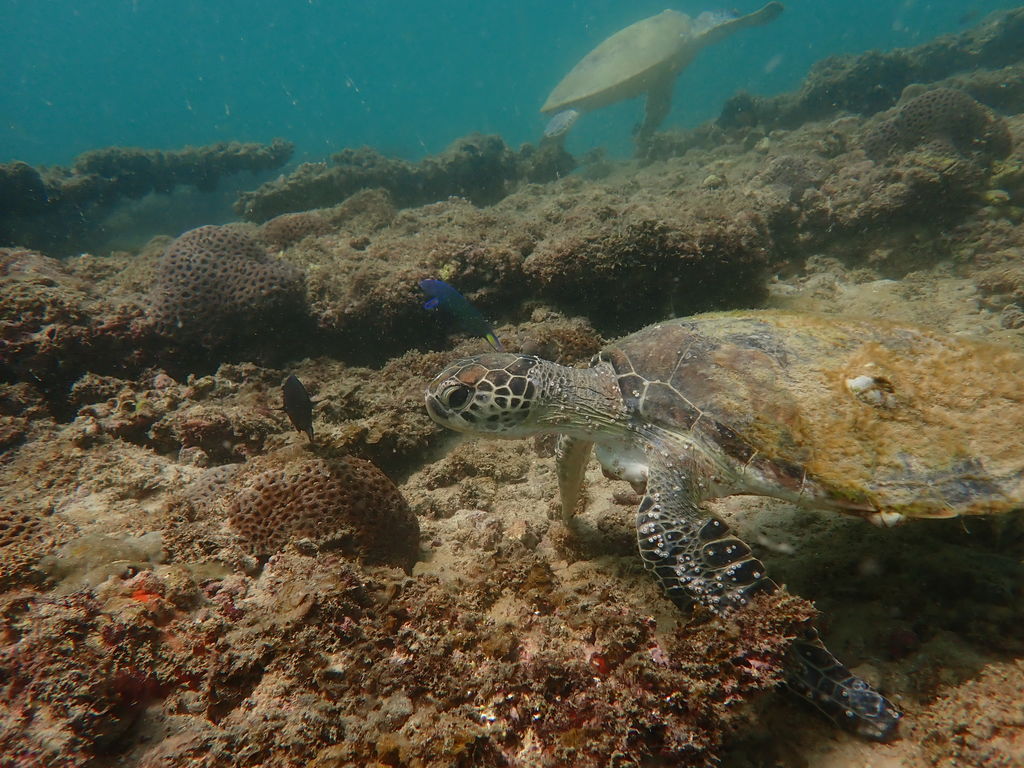 734dcc77-1a6a-46e7-ae62-c5dc8fd20997