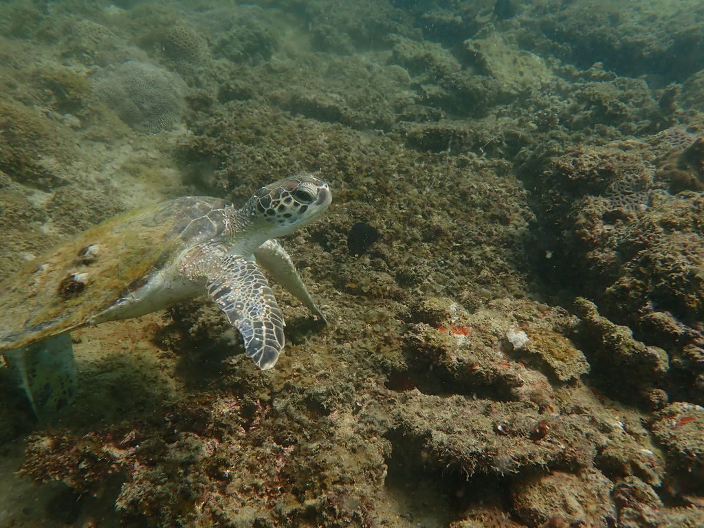 734dcc77-1a6a-46e7-ae62-c5dc8fd20997