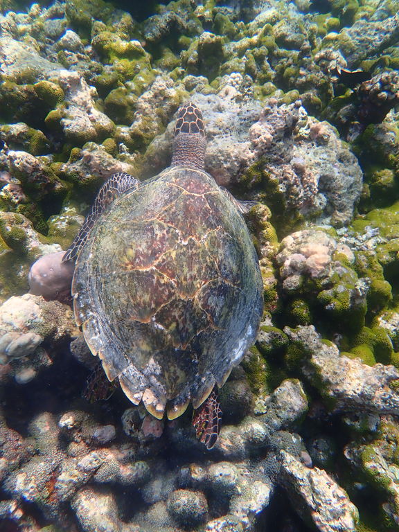 4044146b-cf4a-4cb5-b1c5-e2f95830c40d