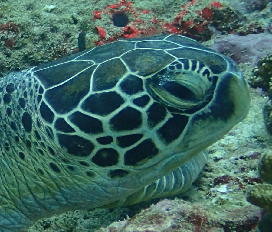 d72c4aaf-a2bf-450c-9372-802f49f7c130