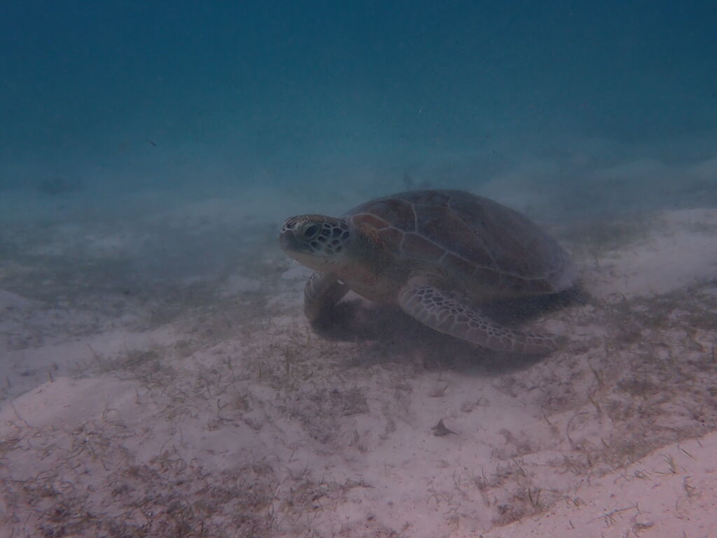 f45dcfc9-bcb2-4e34-a8d1-571e90452017