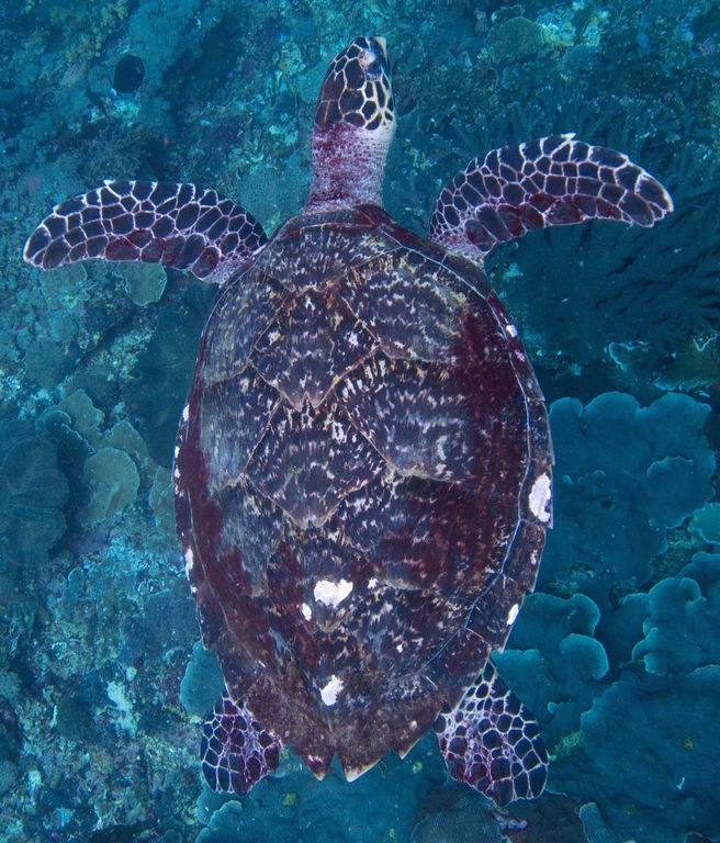 57eacf01-8975-4076-9cf9-19aa697443ea