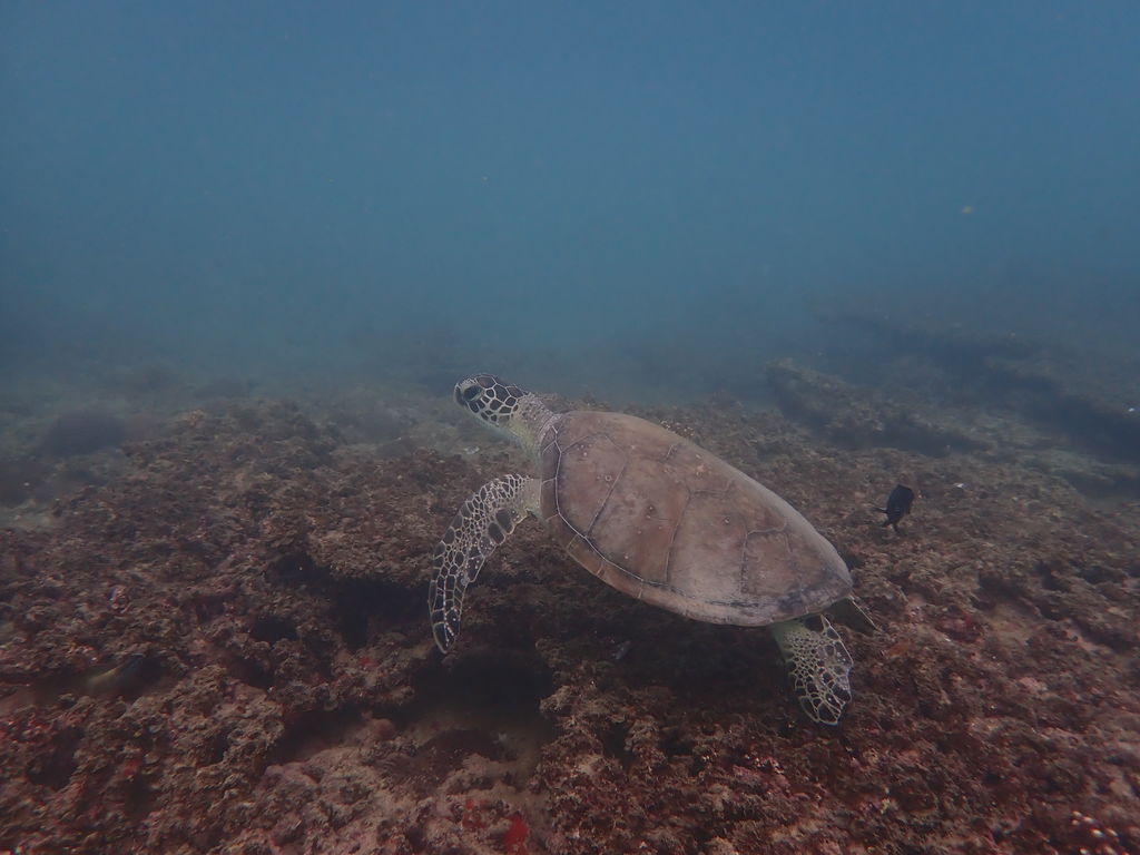 60ea336e-9341-4ca8-82fc-9e0ce85fa593