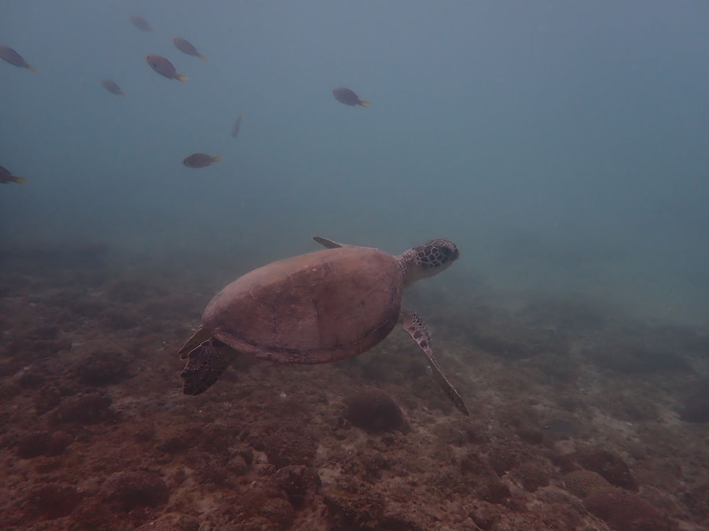 60ea336e-9341-4ca8-82fc-9e0ce85fa593