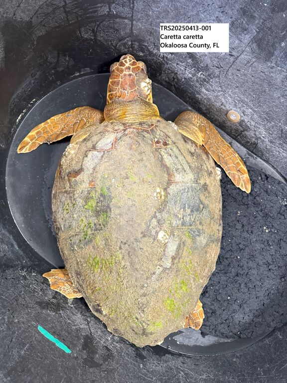 a3e83073-2550-43ac-a1ee-293e1ed22190