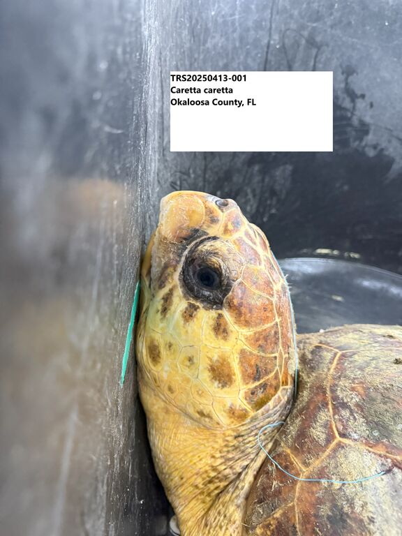 a3e83073-2550-43ac-a1ee-293e1ed22190