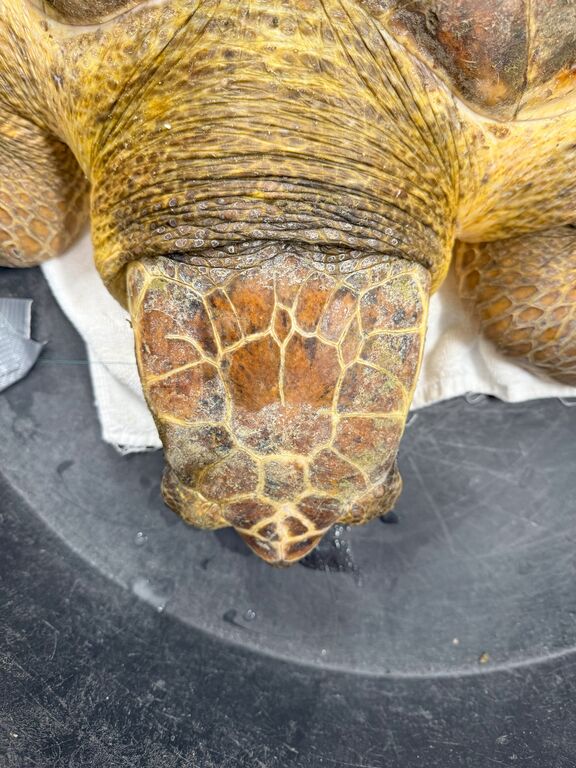 a3e83073-2550-43ac-a1ee-293e1ed22190