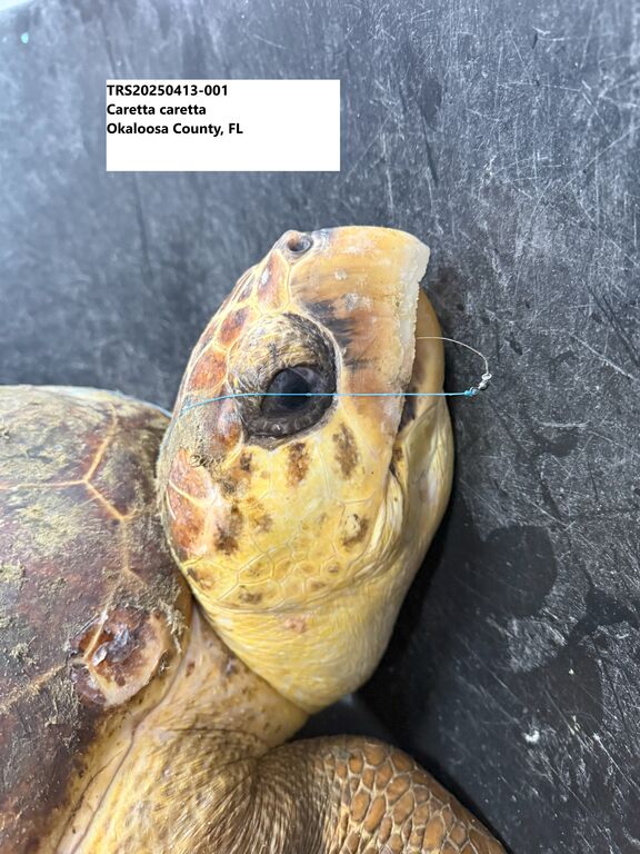 a3e83073-2550-43ac-a1ee-293e1ed22190