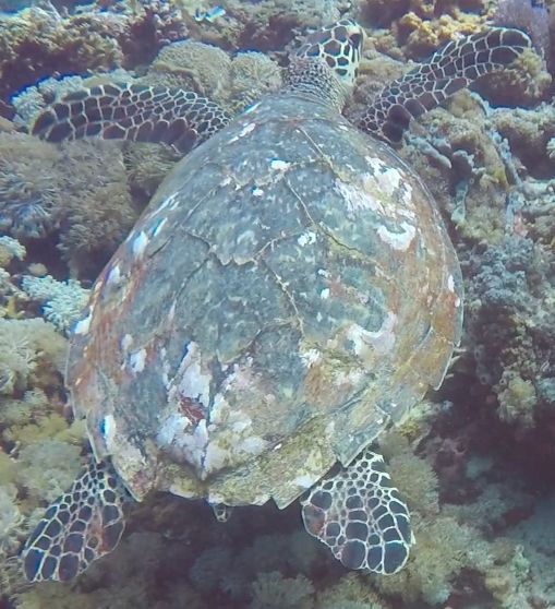 b20b5702-21c7-4d94-b5a5-f57545cd64cc